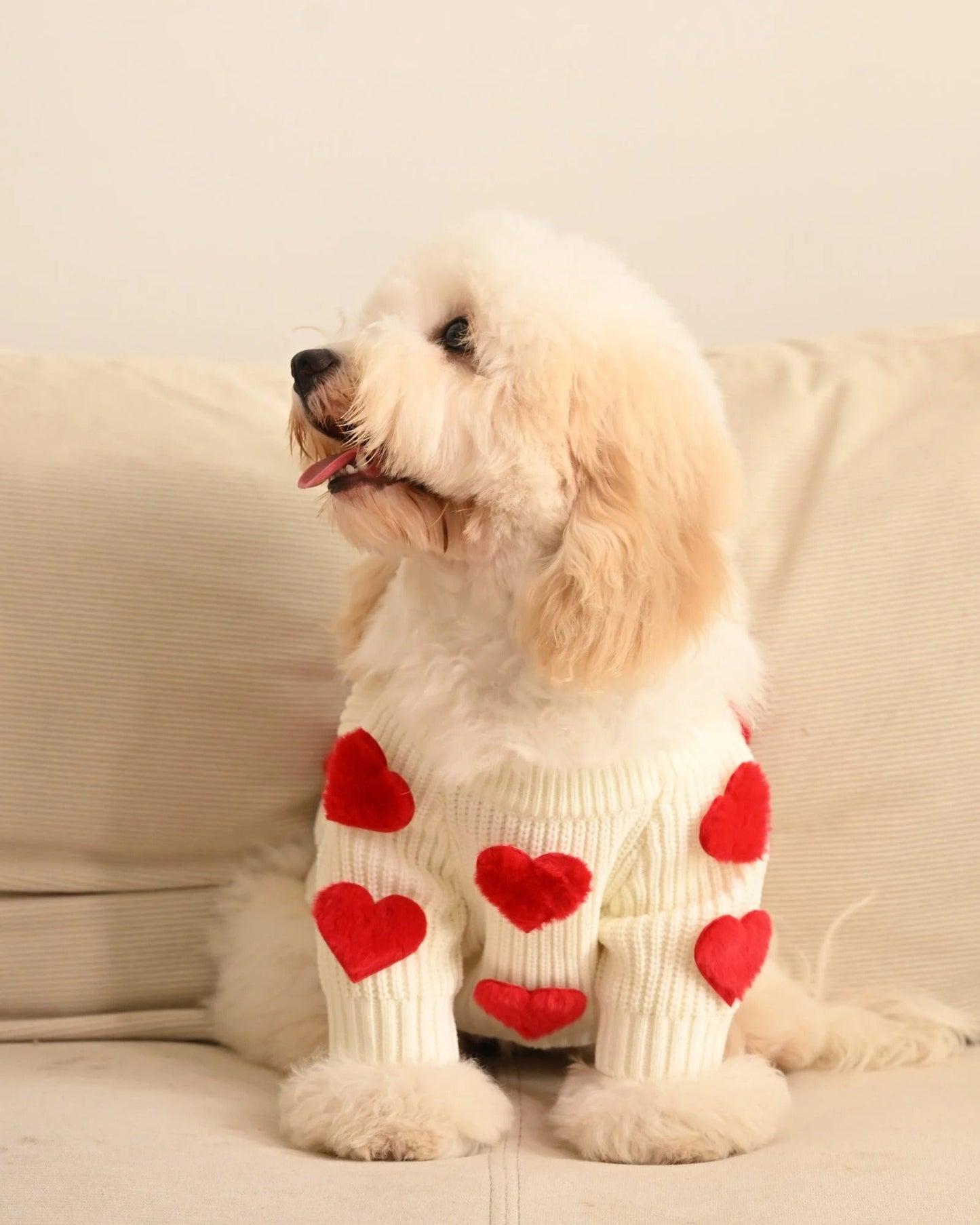 Cream Heart-3D Motif Pet Sweater