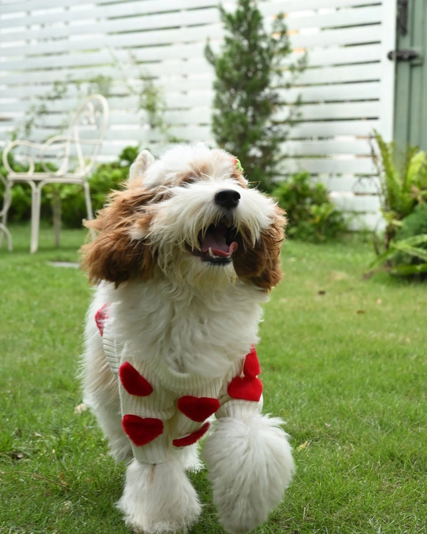 Cream Heart-3D Motif Pet Sweater